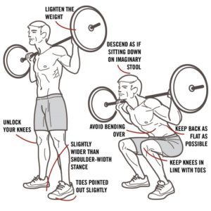 Exercises_squat