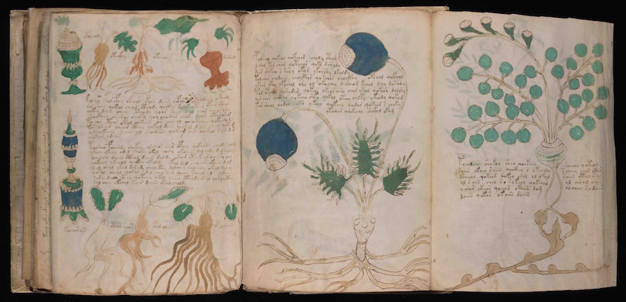 voynich-manuscript3
