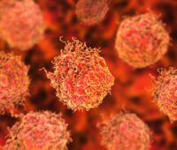 New Studies Show High Prevalence in Cancer for Men Might Be Caused By Genetic Makeup