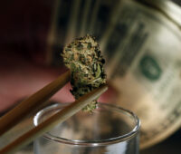 Marijuana News: What You Need to Know About This Controversial Topic